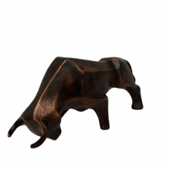 Toro en Resina - Camino a Casa Uruguay