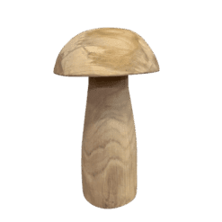 Hongo Madera - Camino a Casa Uruguay