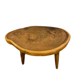 Mesa Ratona Ryan