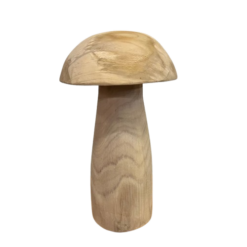 Hongo Madera