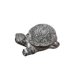 Tortuga