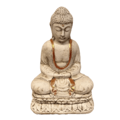 Buda - Camino a Casa Uruguay