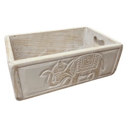 Caja Elefante - Camino a Casa Uruguay