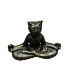 Gato Yoga - Camino a Casa Uruguay