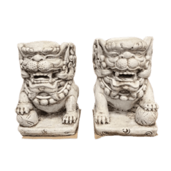 Perros Leones Fu - Camino a Casa Uruguay