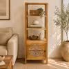 Estanteria con Puerta 3 mueble estanteria contexto living(2)